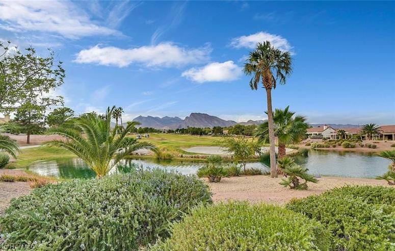 2521 Springbrook Drive Las Vegas NV 89134