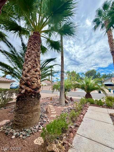 804 Rancho Coast Way Henderson NV 89002