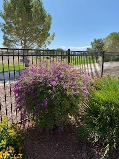 5119 East Long Leaf Court Pahrump NV 89061