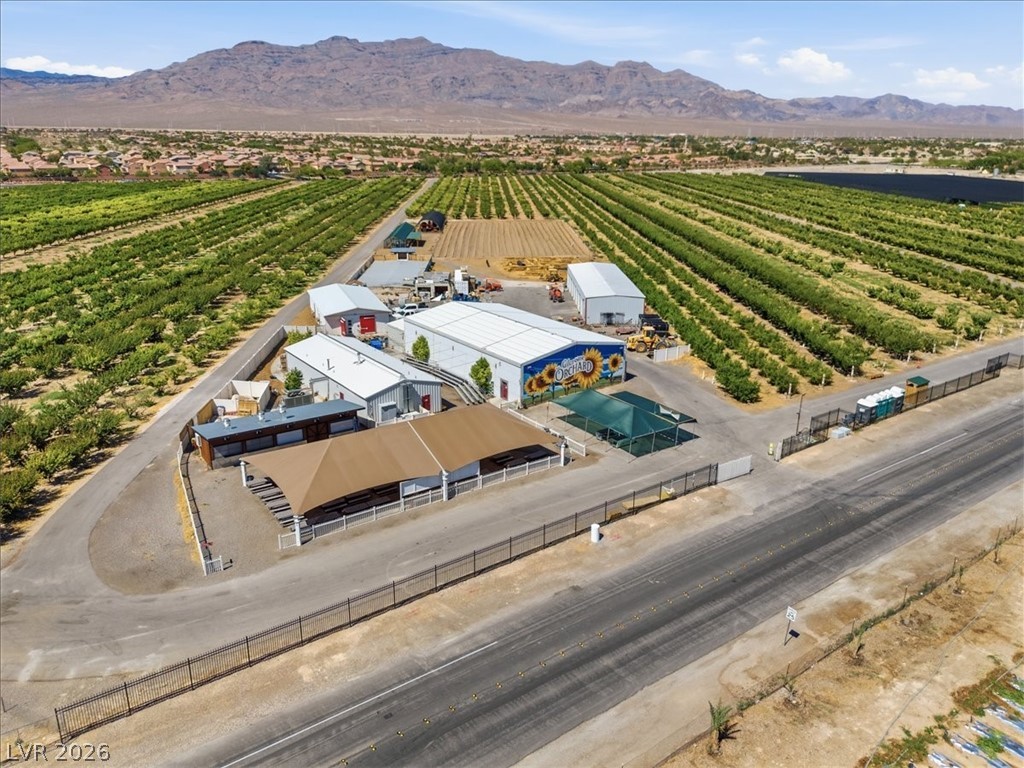 7260 Abundant Harvest Avenue Las Vegas NV 89131