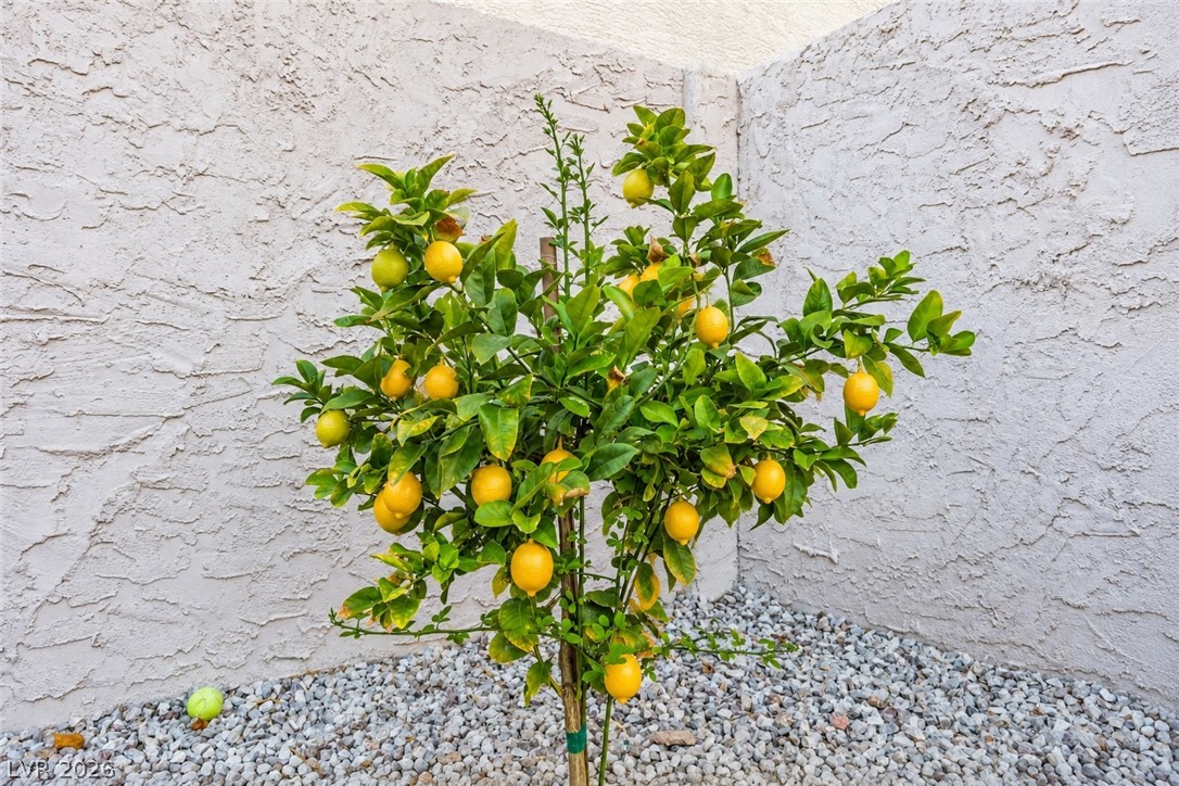 2433 Cliffwood Drive Henderson NV 89074