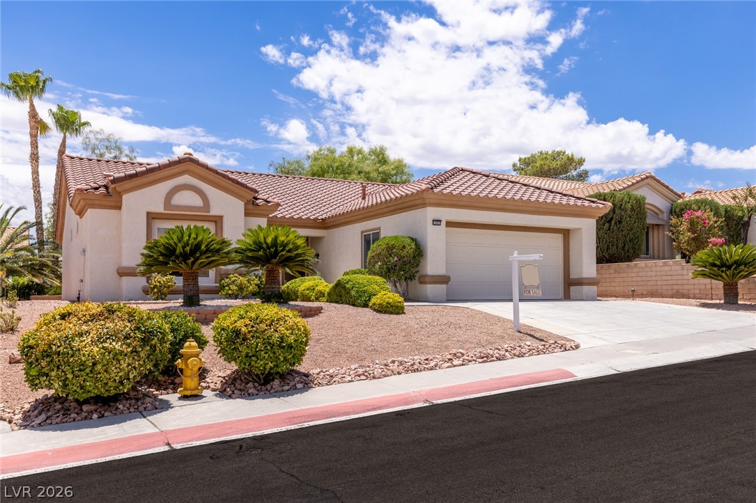 10009 Woodhouse Drive Las Vegas NV 89134
