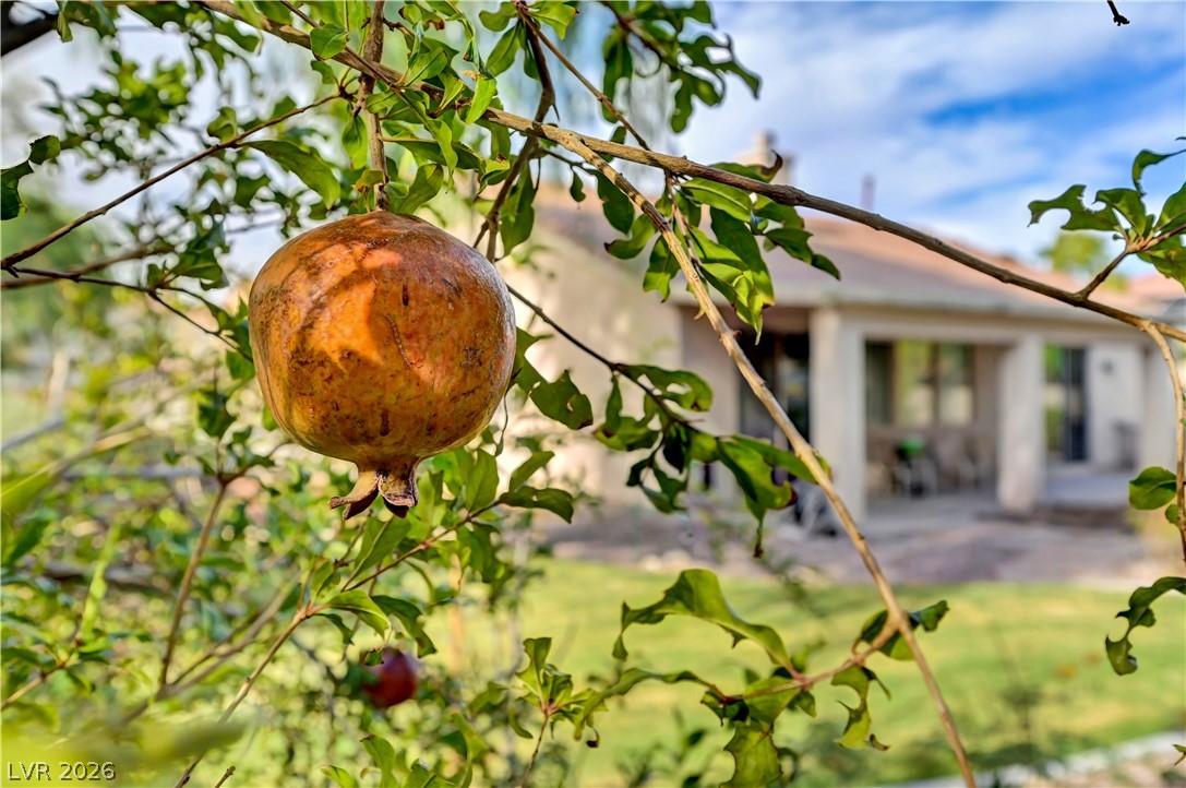 7423 Page Ranch Court Las Vegas NV 89131