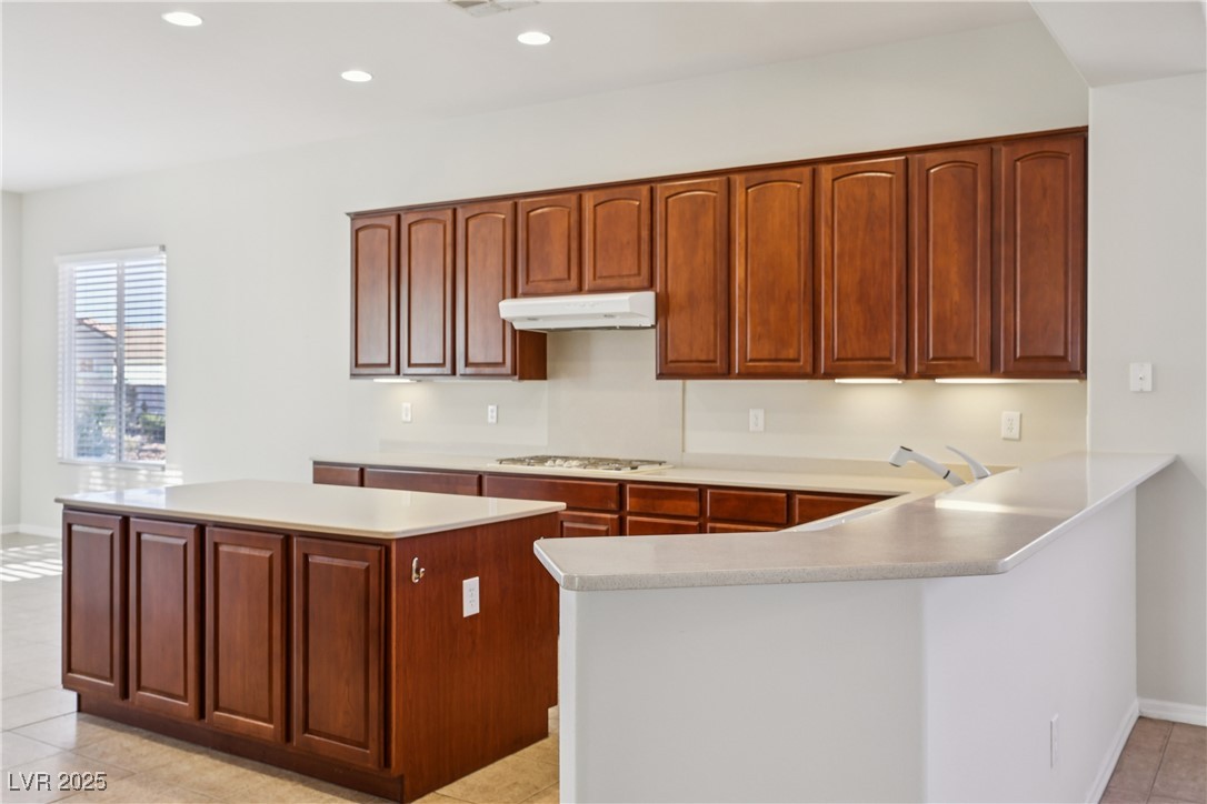 2156 Twin Falls Drive Henderson NV 89044