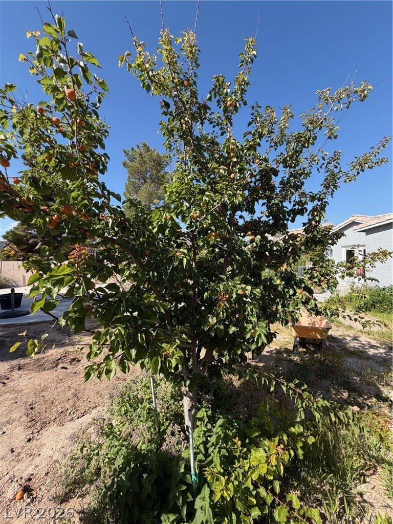 5033 Crystal Breeze Lane North Las Vegas NV 89031