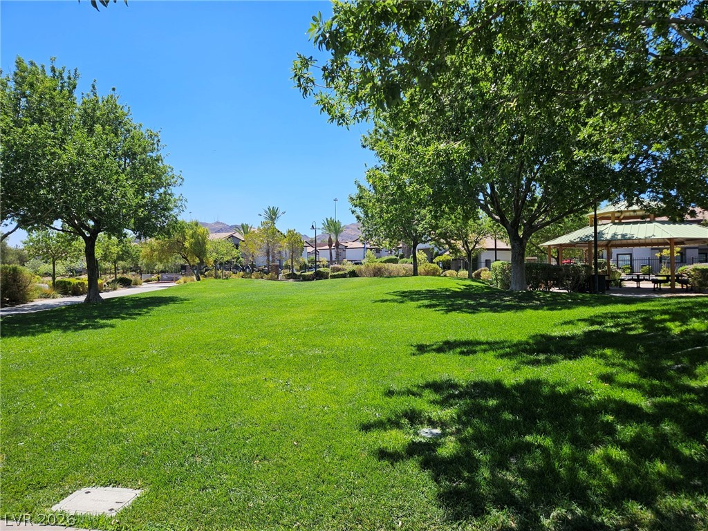 79 Stock Option Street 2 Henderson NV 89074