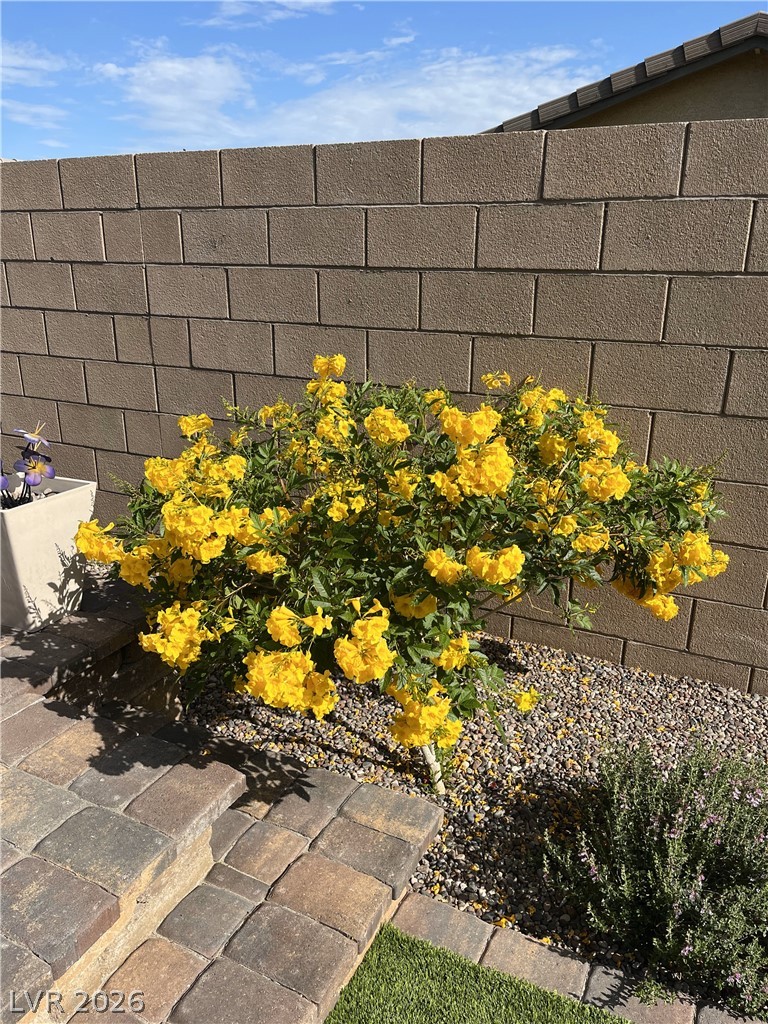 498 Pebble Run Avenue Henderson NV 89011