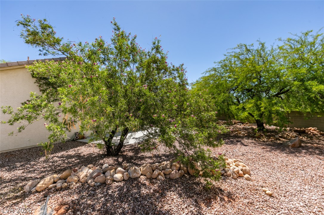 10925 Fog Hollow Court Las Vegas NV 89135