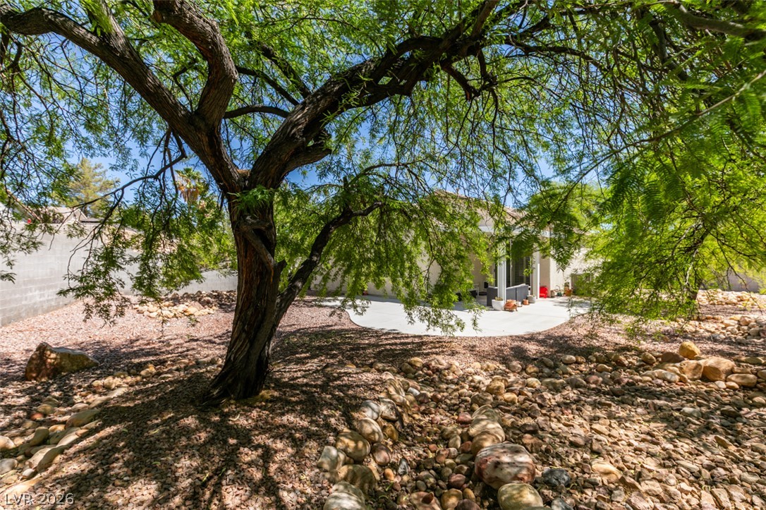 10925 Fog Hollow Court Las Vegas NV 89135
