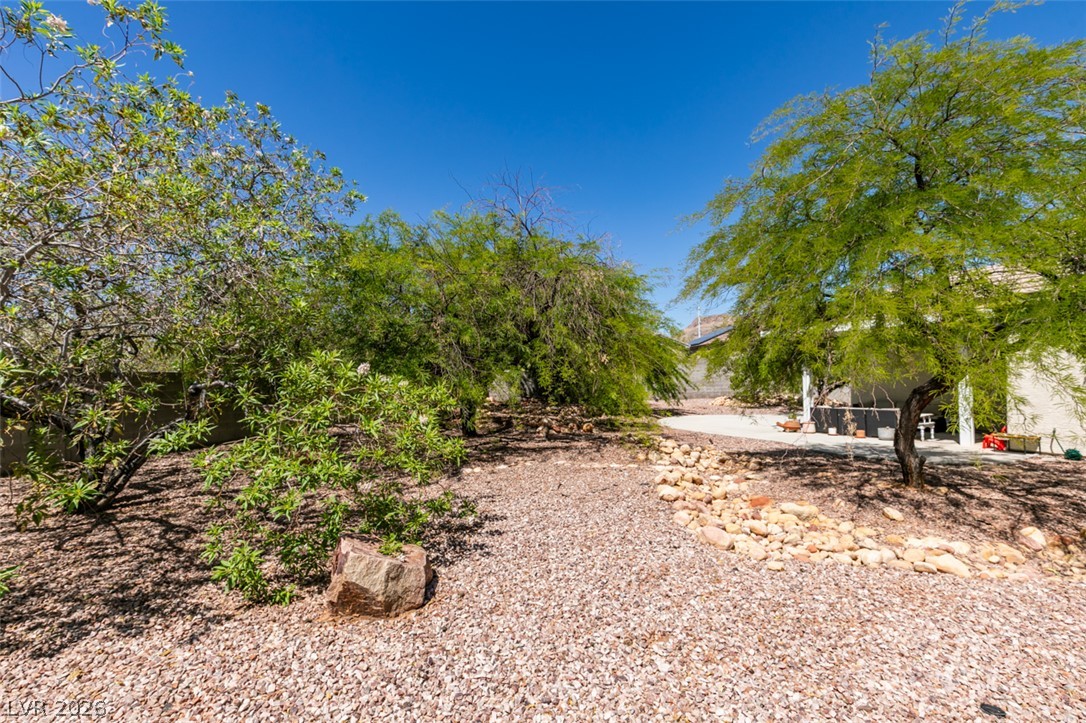 10925 Fog Hollow Court Las Vegas NV 89135