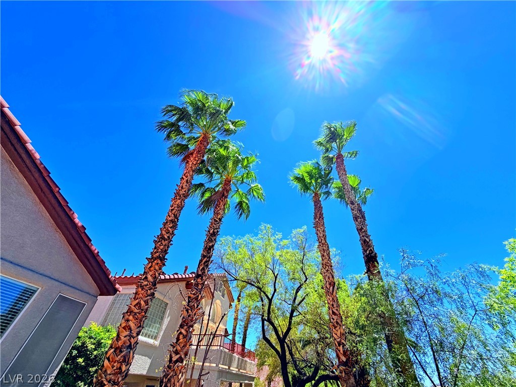 10225 Red Bridge Avenue Las Vegas NV 89134