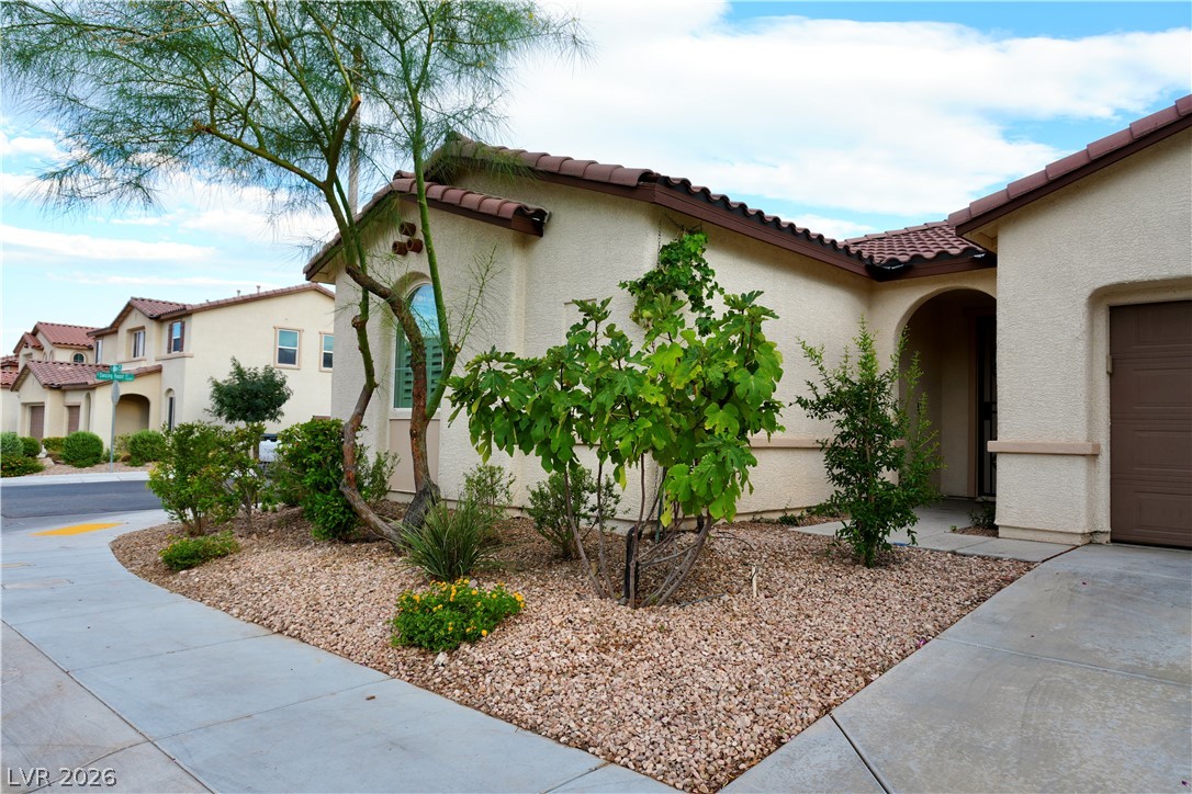7675 Tierra Montanosa Avenue Las Vegas NV 89179