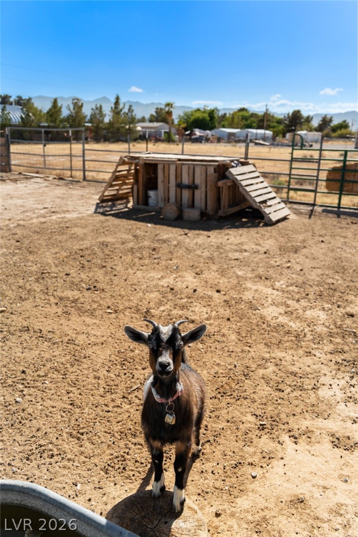3461 Paiute Boulevard Pahrump NV 89061