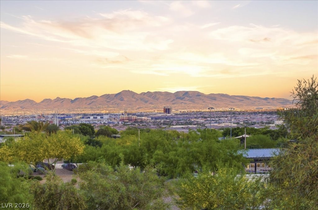 10843 White Clay Drive Las Vegas NV 89135