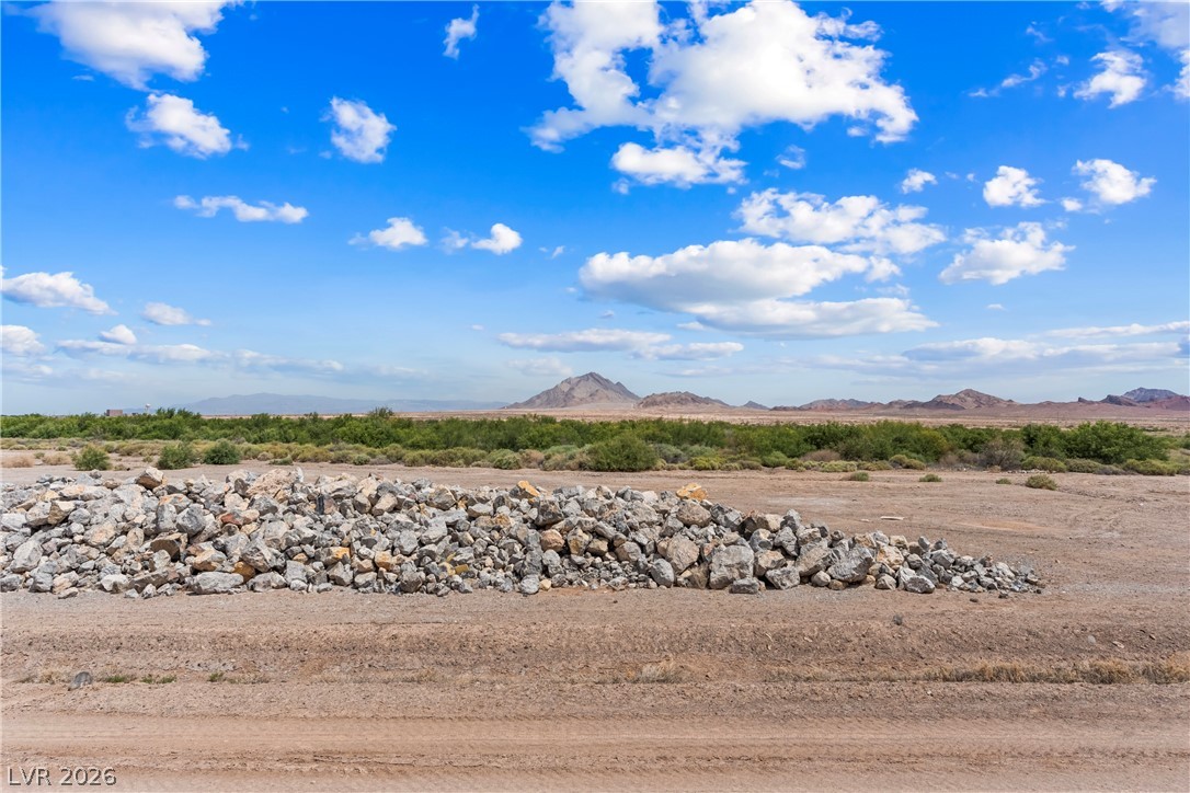 340 Larksong Avenue Henderson NV 89011