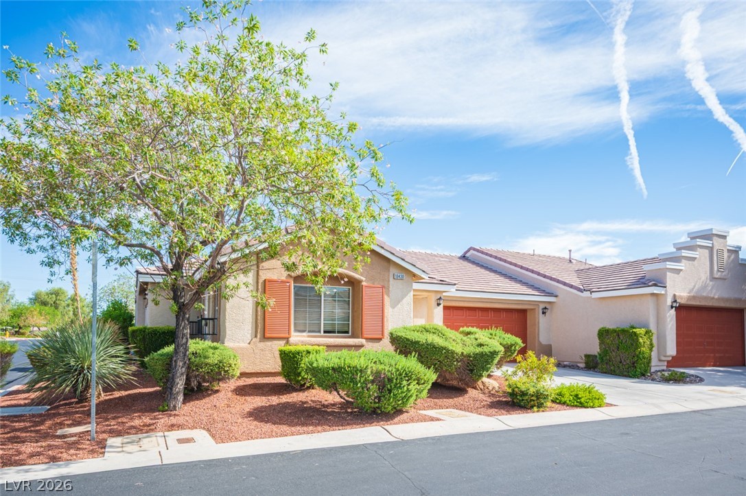 10430 Melon Cactus Street Las Vegas NV 89141