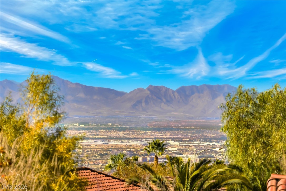 2404 Ozark Plateau Drive Henderson NV 89044