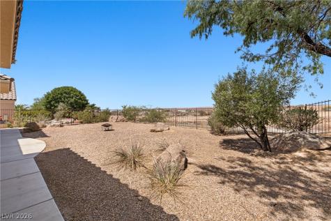 1399 Chaparral Drive Mesquite NV 89027