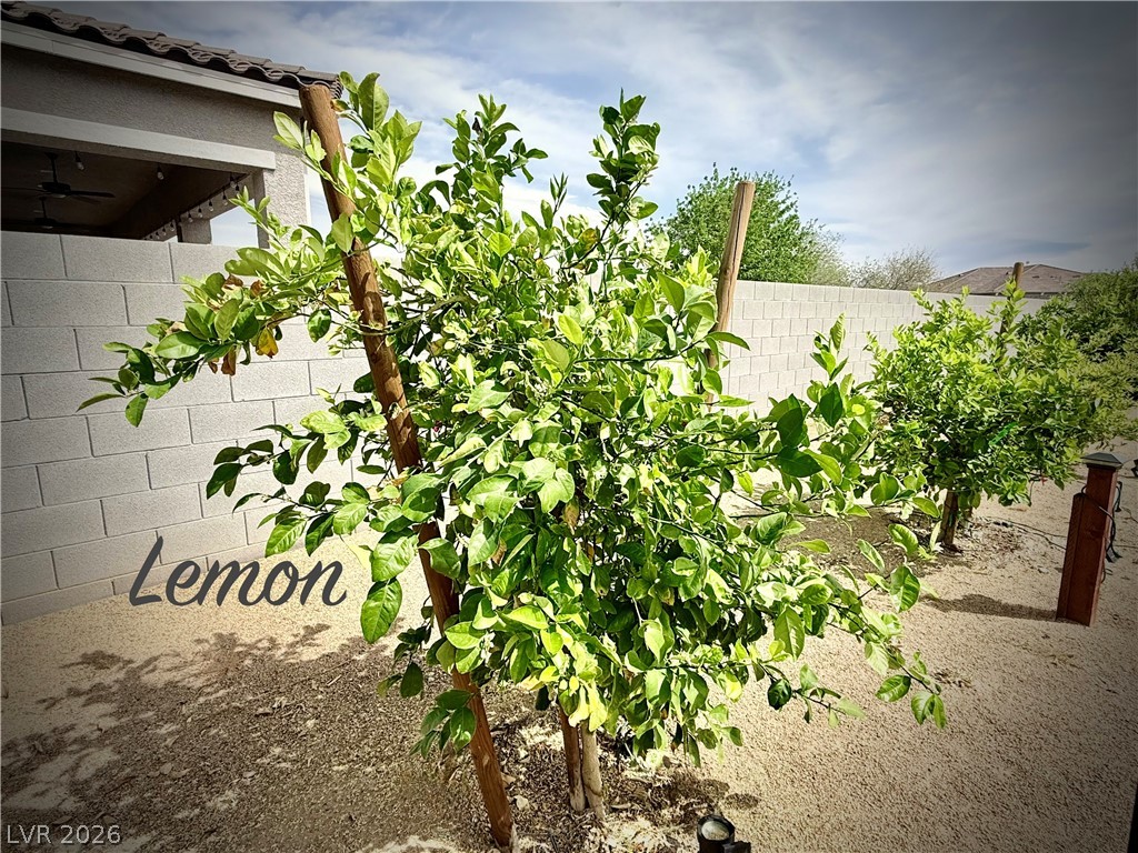 4911 Sandalwood Drive Pahrump NV 89061