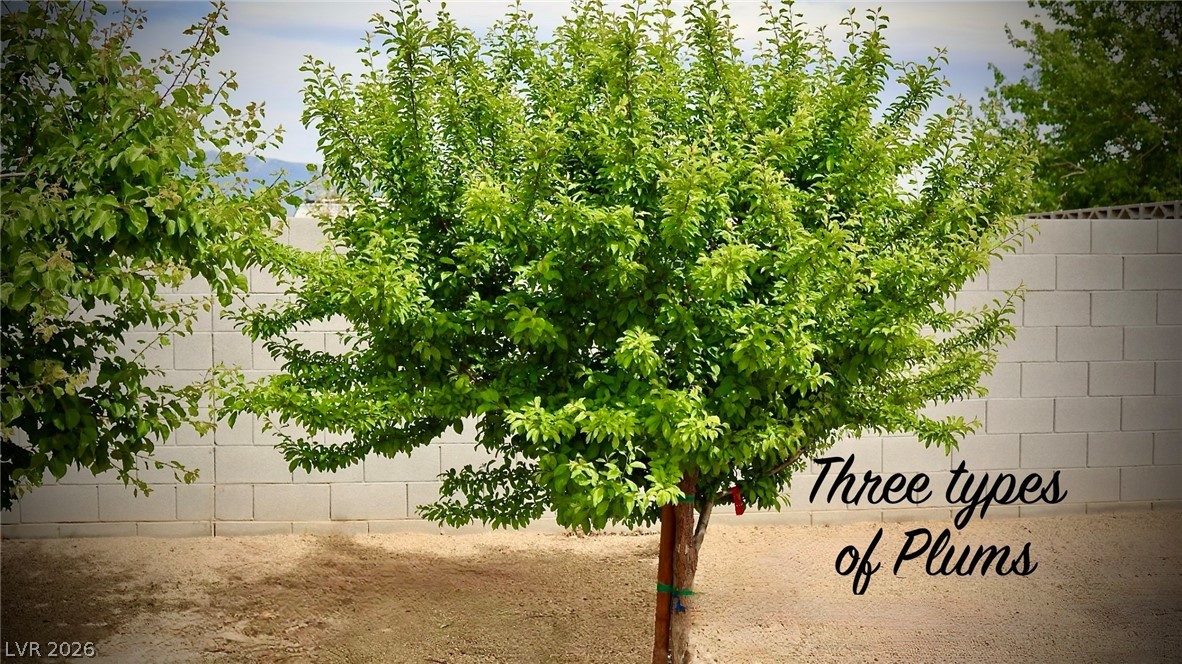 4911 Sandalwood Drive Pahrump NV 89061