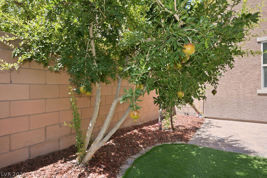 8727 Cerrito Canyon Court Las Vegas NV 89148