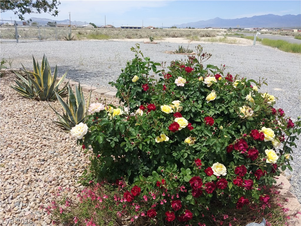 3550 South Underbrush Avenue Pahrump NV 89048