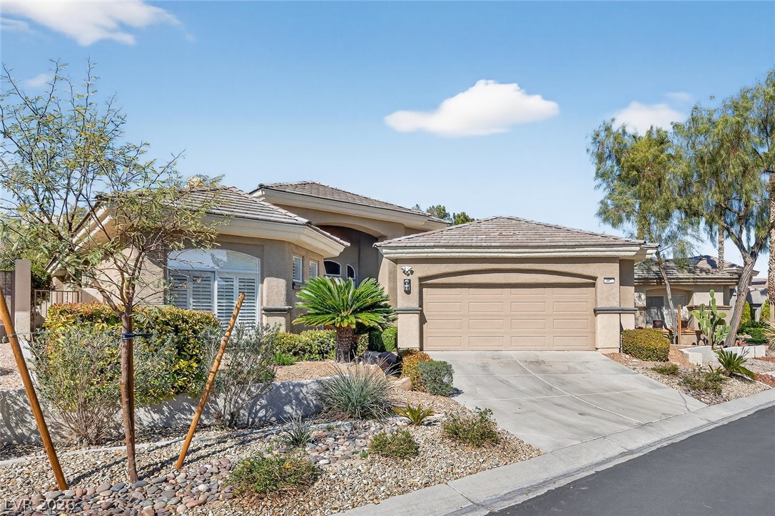 541 Summer Mesa Drive Las Vegas NV 89144