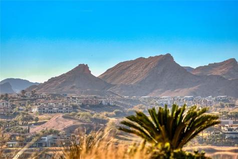 20 Via Mantova 108 Henderson NV 89011