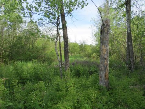 22 Macadam Road Chazy NY 12921