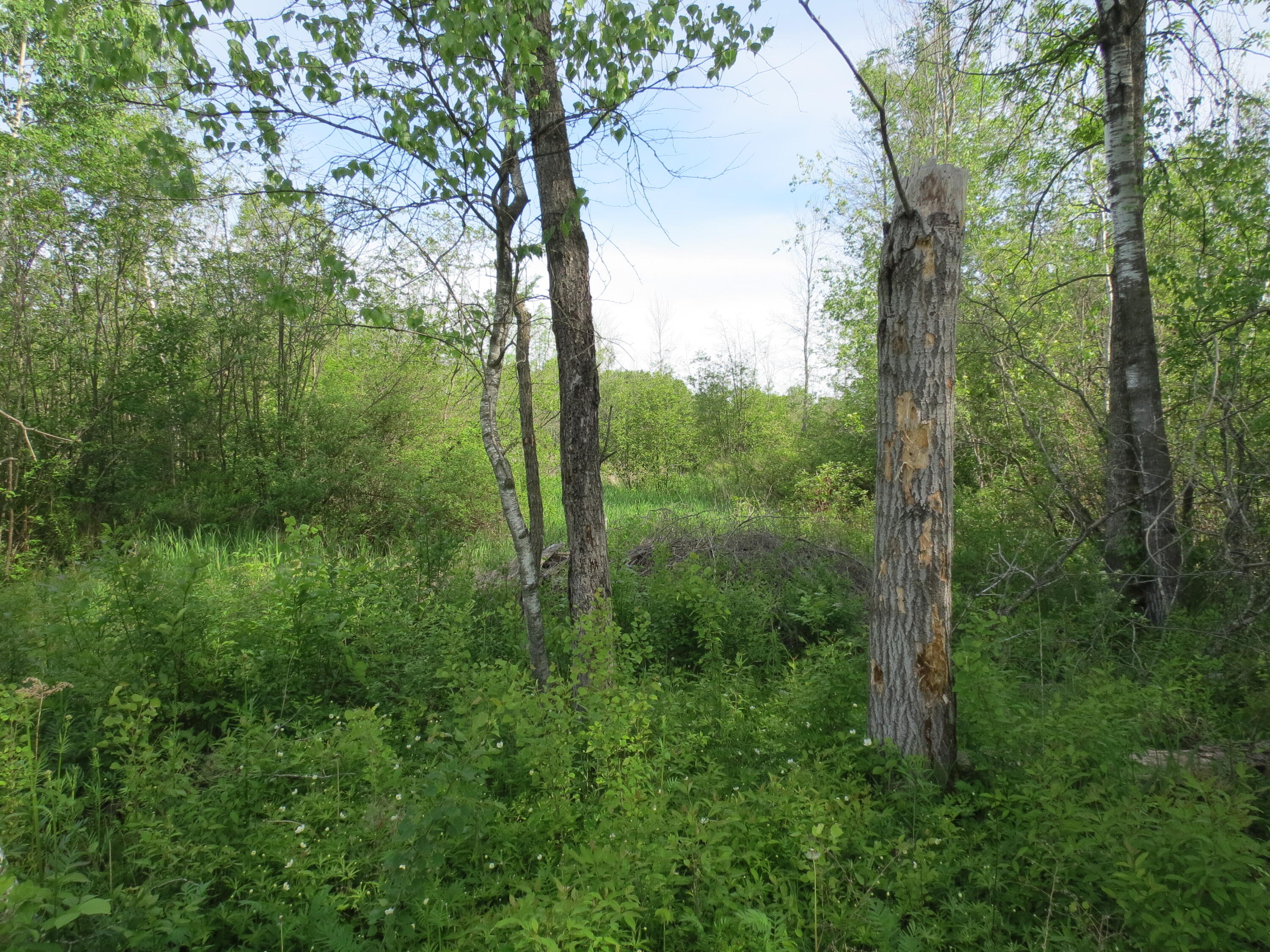22 Macadam Road Chazy NY 12921