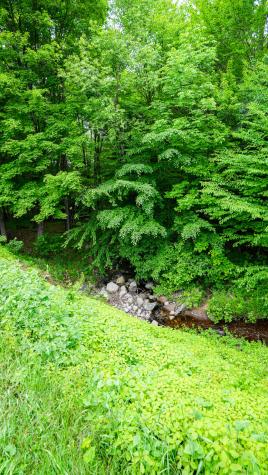 1616 Ny-30 Tupper Lake NY 12986