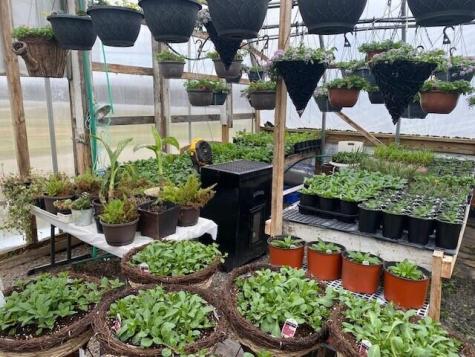 5004 State Route 11 Burke NY 12917