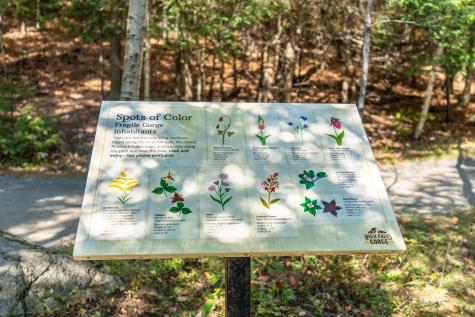 4761 Nys Route 86 Wilmington NY 12997