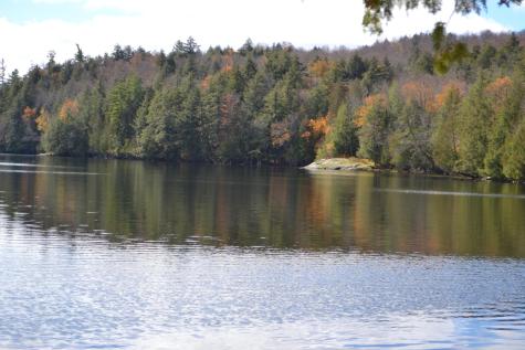 1684 State Route 3 Bloomingdale NY 12913