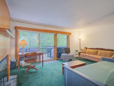 4 Park Ridge Tupper Lake NY 12986