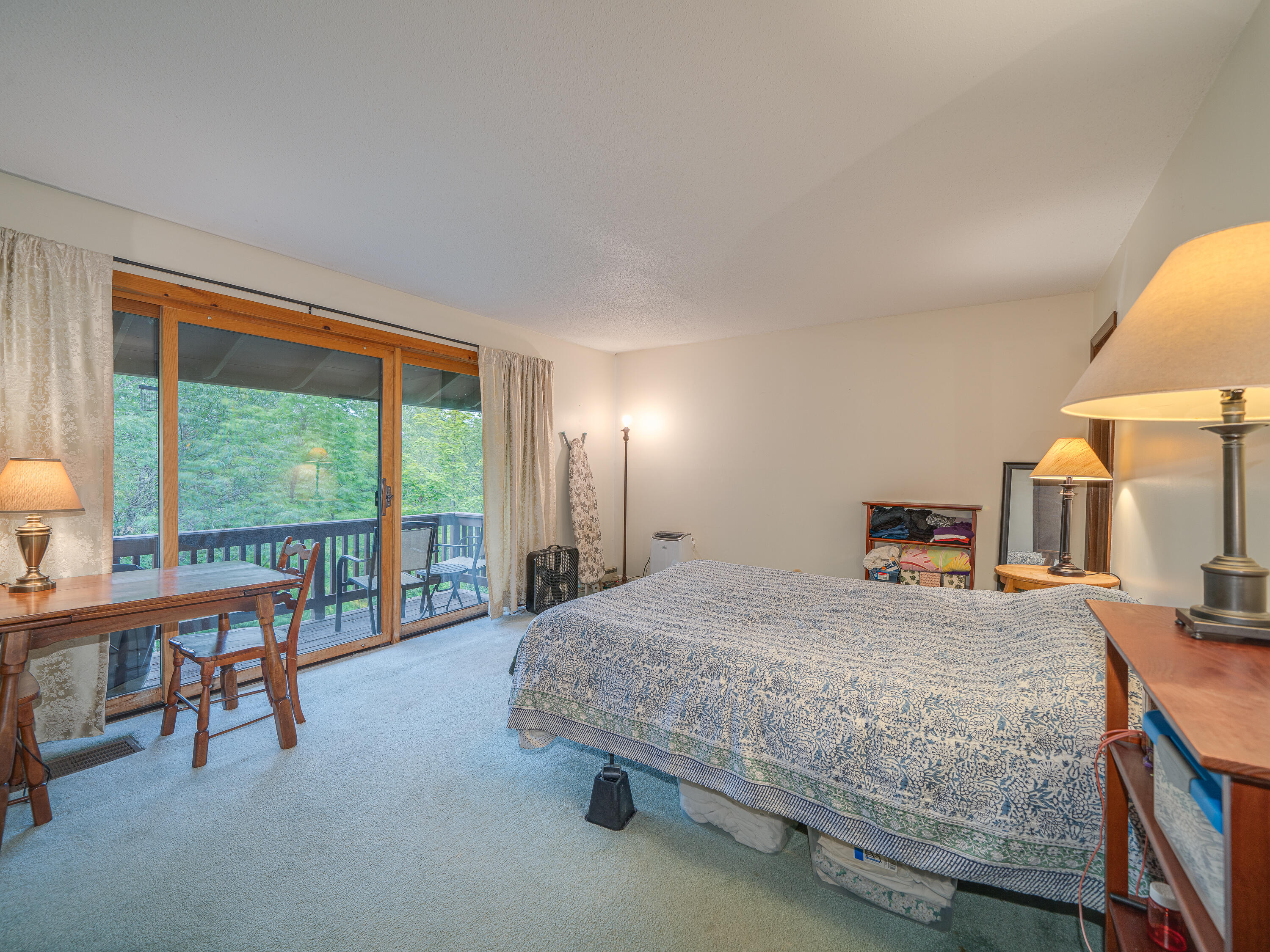 4 Park Ridge Tupper Lake NY 12986
