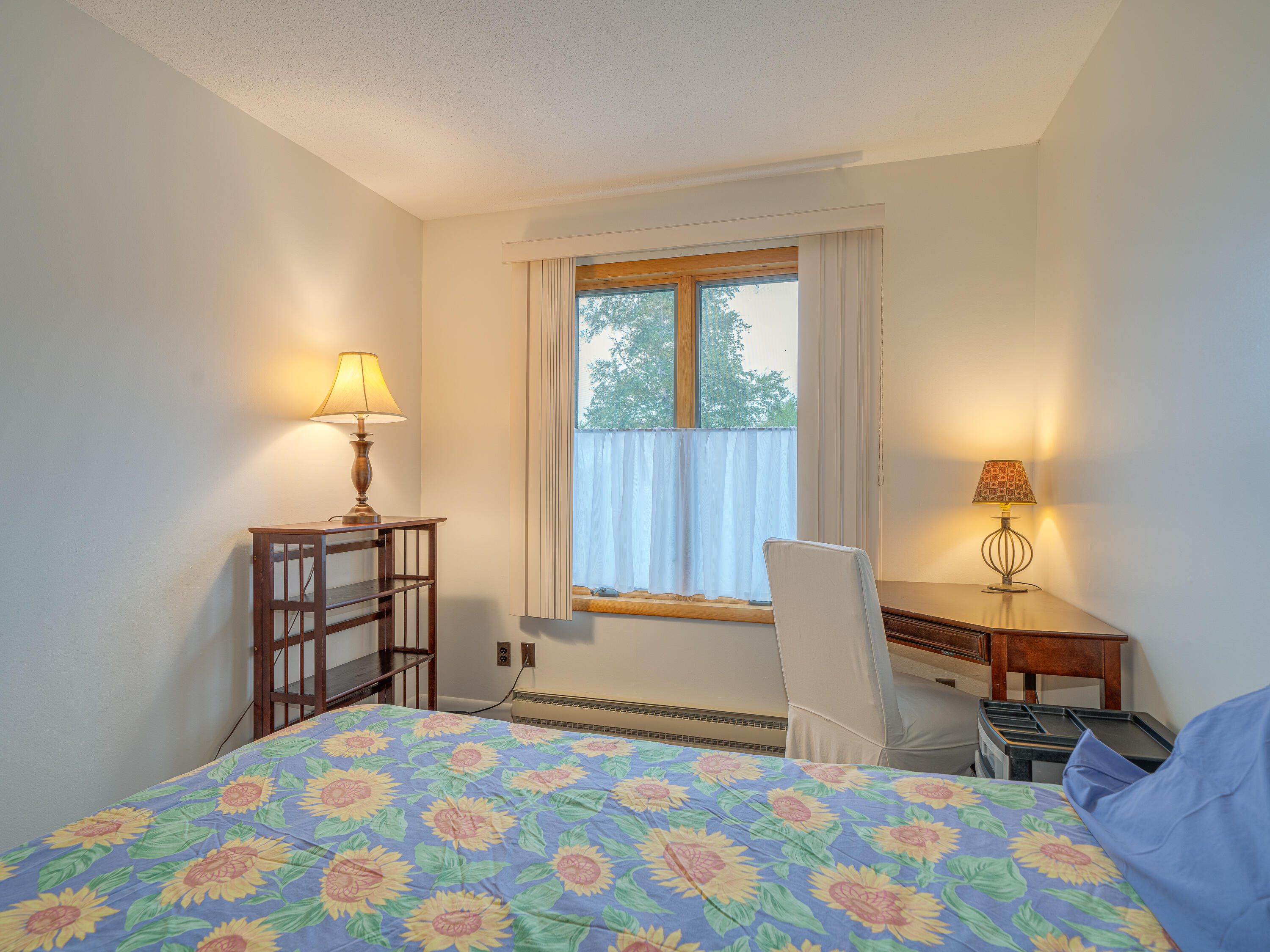 4 Park Ridge Tupper Lake NY 12986
