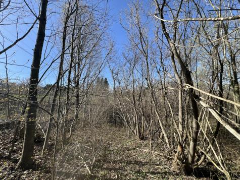 . Seymour Street Chateaugay NY 12920