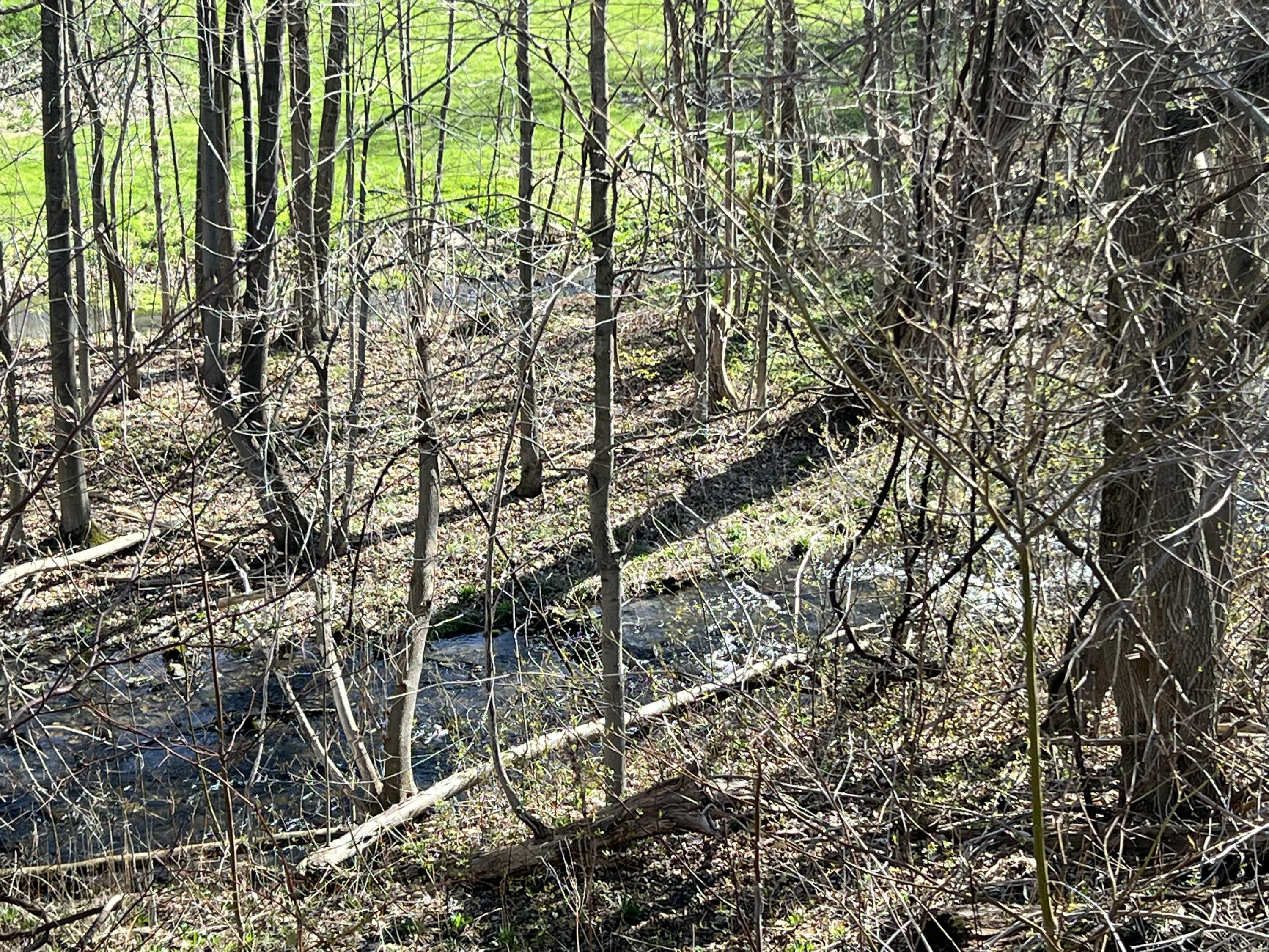 . Seymour Street Chateaugay NY 12920
