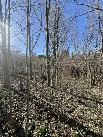 . Seymour Street Chateaugay NY 12920