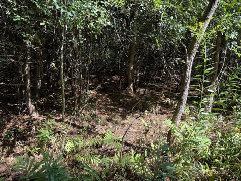 00 Town Line Road West Chazy NY 12992