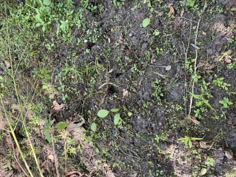 00 Town Line Road West Chazy NY 12992