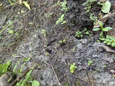 00 Town Line Road West Chazy NY 12992