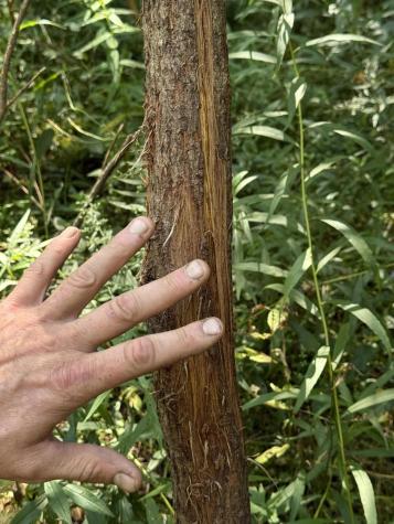 00 Town Line Road West Chazy NY 12992