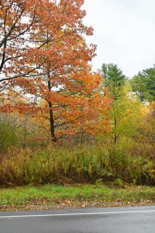 0.0 Stafford Road Plattsburgh NY 12901