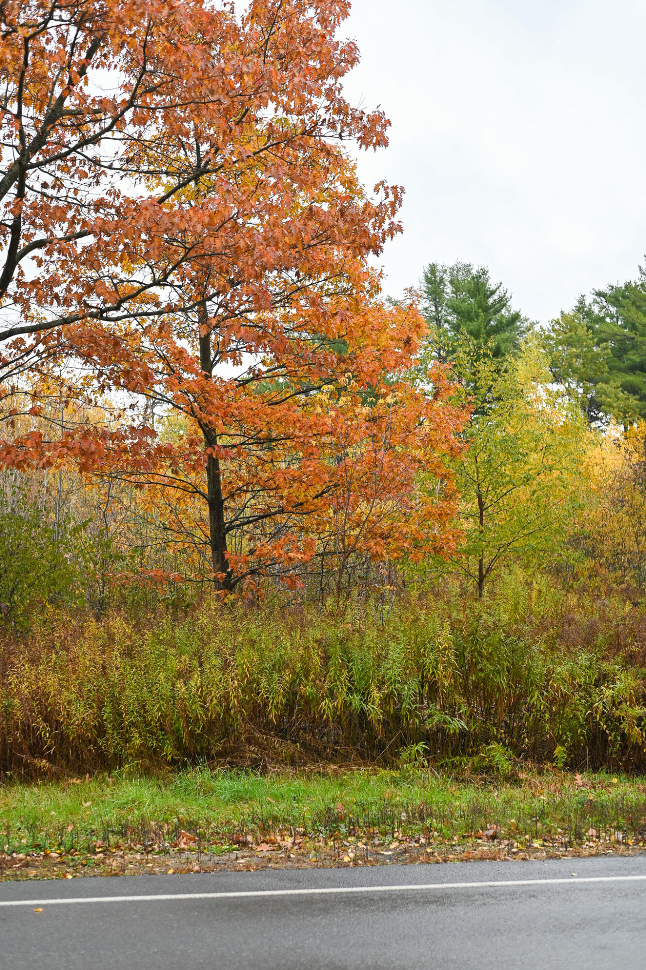 0.0 Stafford Road Plattsburgh NY 12901