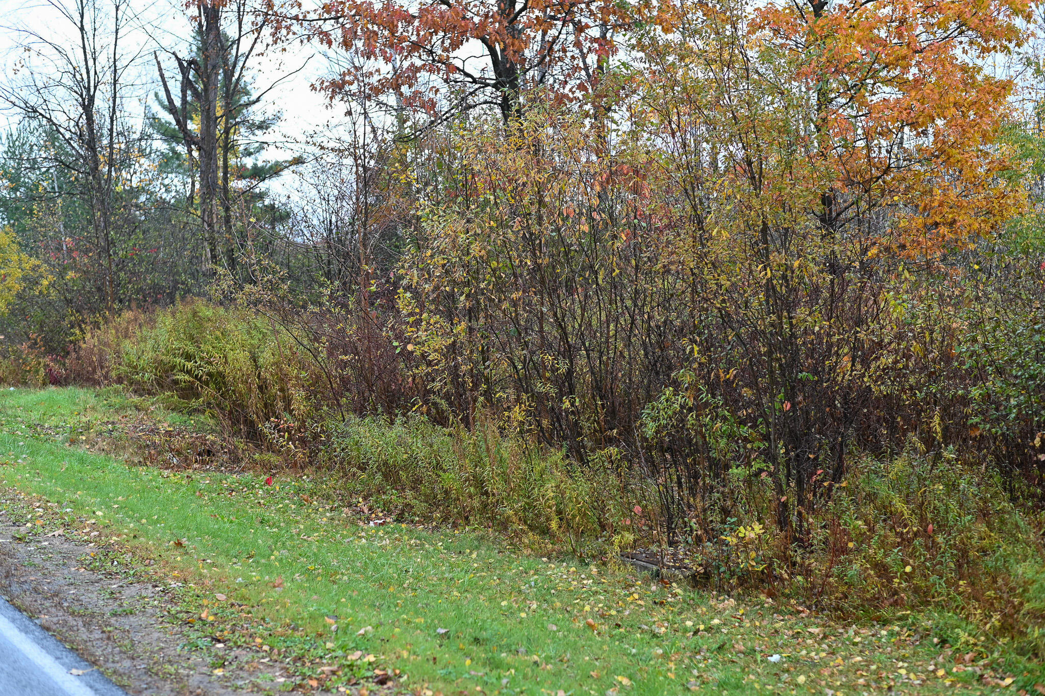 0.0 Stafford Road Plattsburgh NY 12901