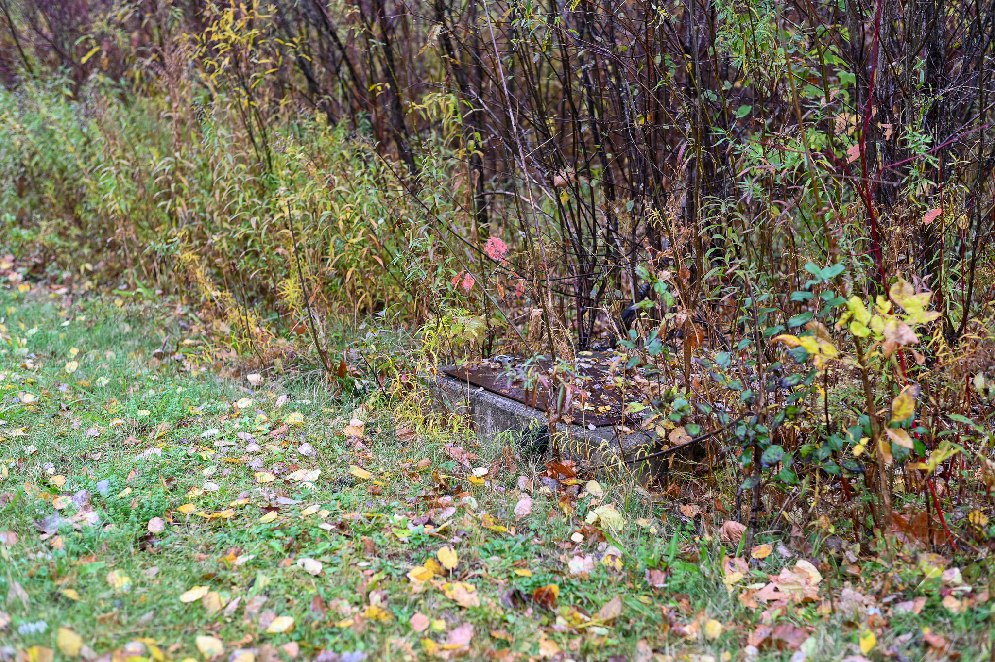 0.0 Stafford Road Plattsburgh NY 12901