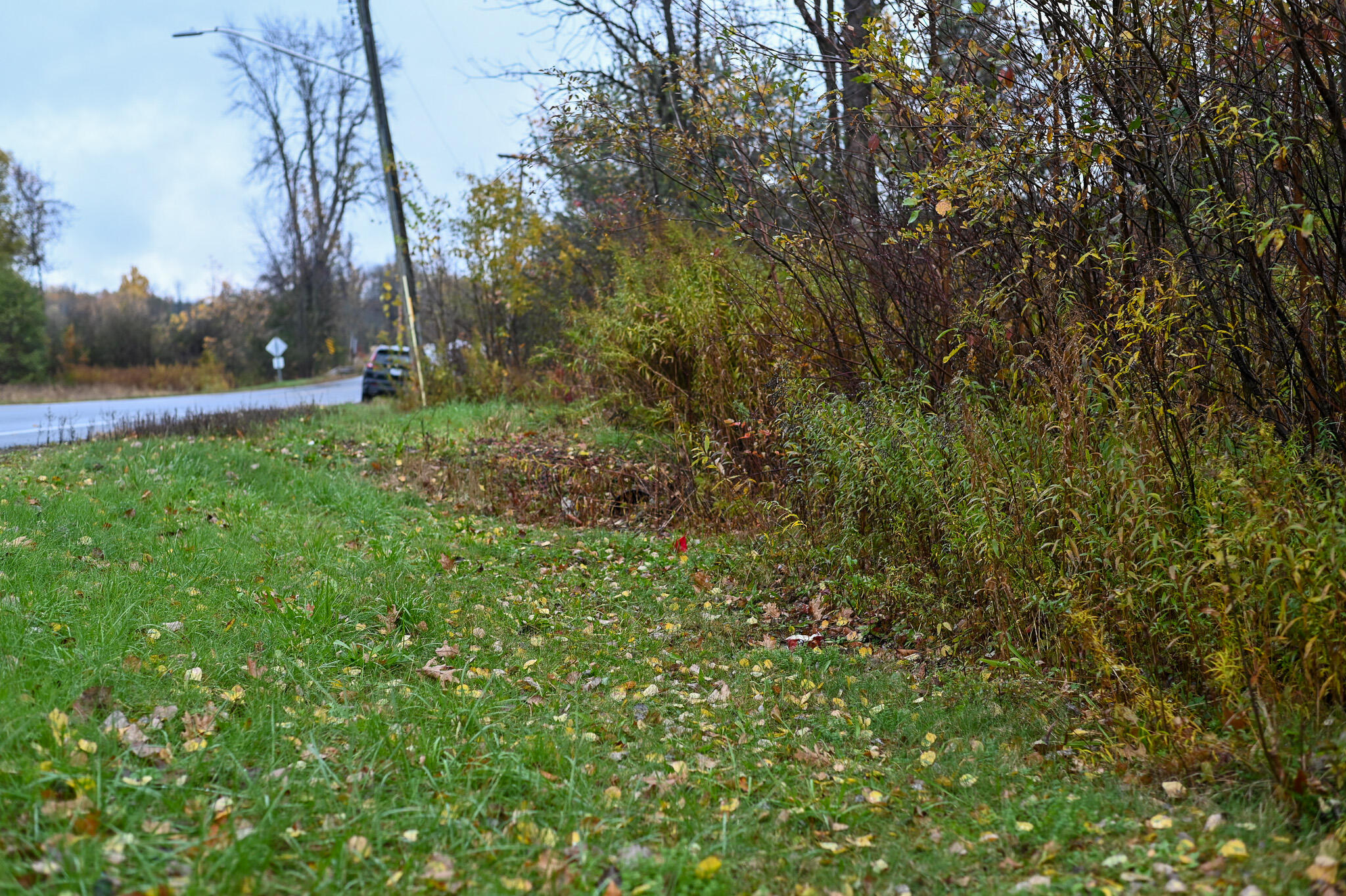 0.0 Stafford Road Plattsburgh NY 12901