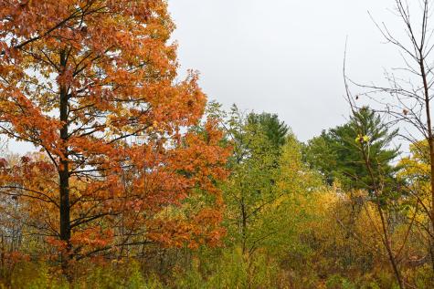 0.0 Stafford Road Plattsburgh NY 12901